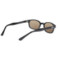 Sunglasses KD's 2121 - Dark brown lenses